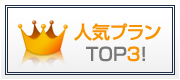 人気プラン